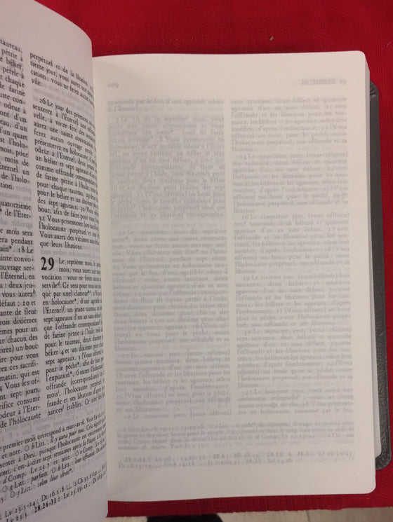 Bible à la Colombe Segond 1978, grise, interfoliée