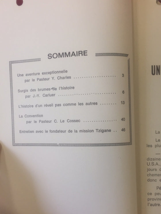 Document Expériences n.19 Le réveil tzigane...