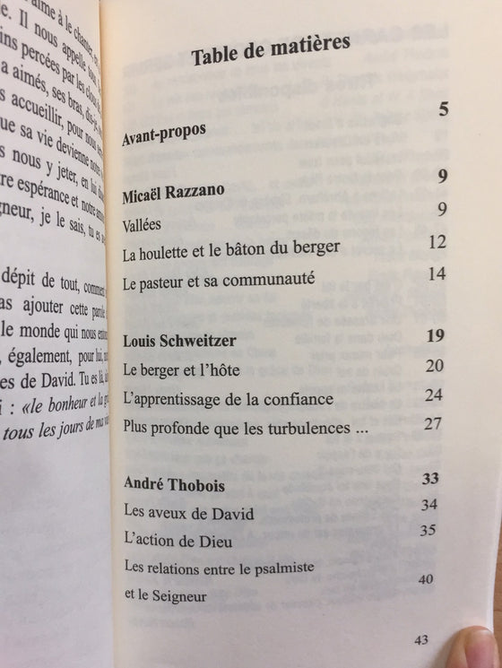 Le Psaume 23: un psaume aux mille reflets