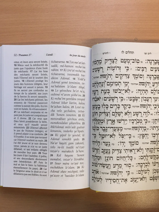 Le livre des Psaumes (judaïsme)