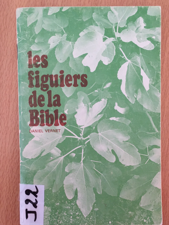 Les figuiers de la Bible