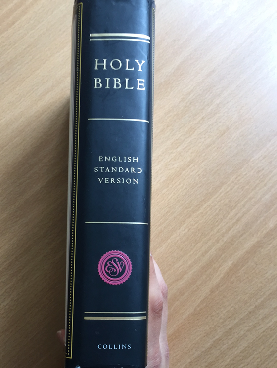 Holy Bible (highlighted)