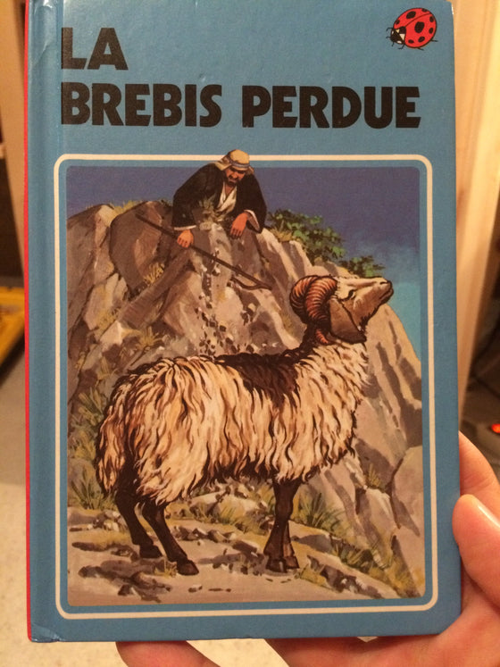 La brebis perdue - ChezCarpus.com